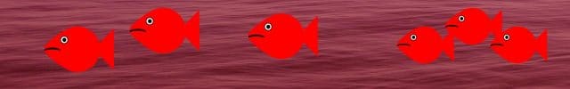 Blå fisk - røde fisk
